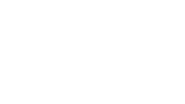 Tork-Logo